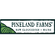 Pineland Running Festival 